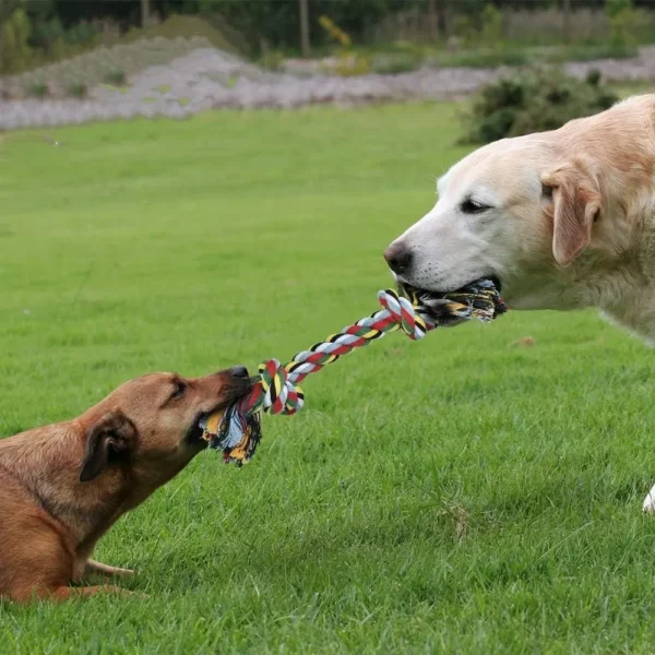 Set de 10 Juguetes Mordibles y Chillones para Perros