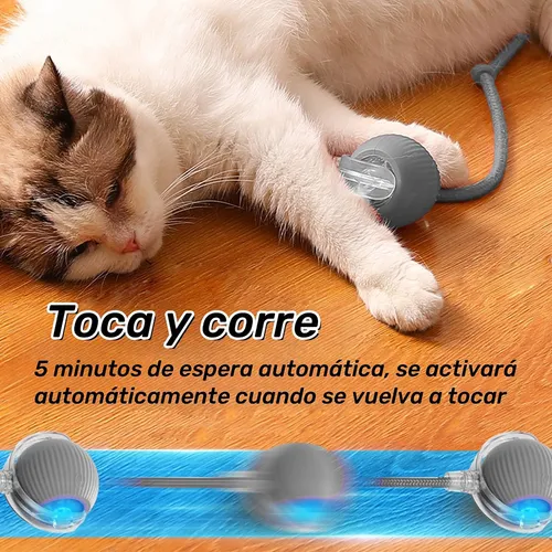Juguete Interactivo para Gatos con Bola Autorodante - Recargable Eléctricamente